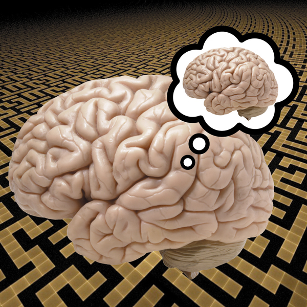 Against Panpsychism